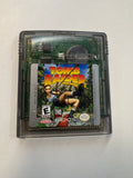 Tomb Raider Nintendo Gameboy Color Authentic Cartridge