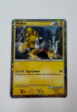 Pokémon TCG Raikou HGSS19 Black Star Promo Holo