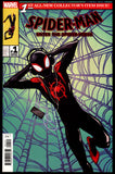 Spider-Man: Enter the Spider-Verse #1 VF/NM 1:10 Incentive Variant!