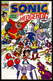 Sonic the Hedgehog #1 NM-/NM 1st Ongoing Series!