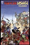 Teenage Mutant Ninja Turtles/Usagi Yojimbo IDW 2017 (NM-) 1st Printing! B