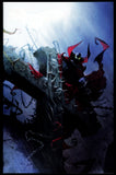 Spawn #296 Image 2019 (NM+) Virgin Cover B - Low Print Run