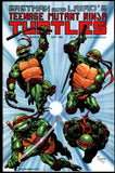 Teenage Mutant Ninja Turtles #25 Mirage 1989 (NM+) 1st Printing