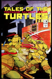 Tales of the Teenage Mutant Ninja Turtles #2 Mirage 1987 (VF/NM)
