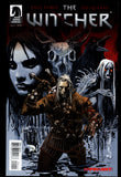 The Witcher #1 Dark Horse 2014 Video Game Adapted for Netflix Series