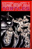 Teenage Mutant Ninja Turtles #1 NM-/NM (1988) Fifth Printing Mirage Comics
