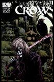 The Crow: Death and Rebirth #1-5 IDW 2012 (NM) Complete Set!