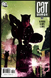 Catwoman #63 DC 2007 (NM-) Adam Hughes Cover!