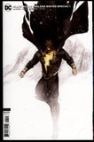 Black Adam Endless Winter Special #1 DC 2021 (NM+) BossLogic Variant!