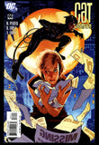 Catwoman #66 DC Comics 2007 (NM-) Adam Hughes Cover Art