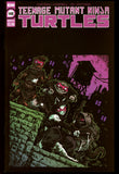 Teenage Mutant Ninja Turtles #140 IDW 2023 NM Kevin Eastman Variant