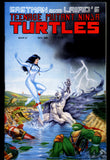 Teenage Mutant Ninja Turtles #27 Mirage 1989 NM- Michael Dooney