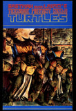 Teenage Mutant Ninja Turtles #35 Mirage 1991 NM- Michael Zulli Cover Art