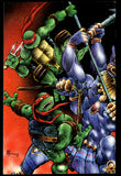 Tales of the Teenage Mutant Ninja Turtles #3 Mirage 1987 NM- Ryan Brown!