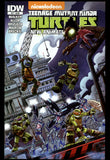 Teenage Mutant Ninja Turtles: New Animated Adventures #17 IDW 2014