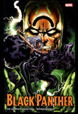 Black Panther By Reginald Hudlin The Complete Collection Vol 2 2017 TPB