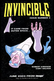 Invincible #4 Image 2003 (NM-) Low Print Run! Early Issue!
