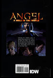 Angel A Hole In The World IDW 2010 First Printing Trade Paper Back