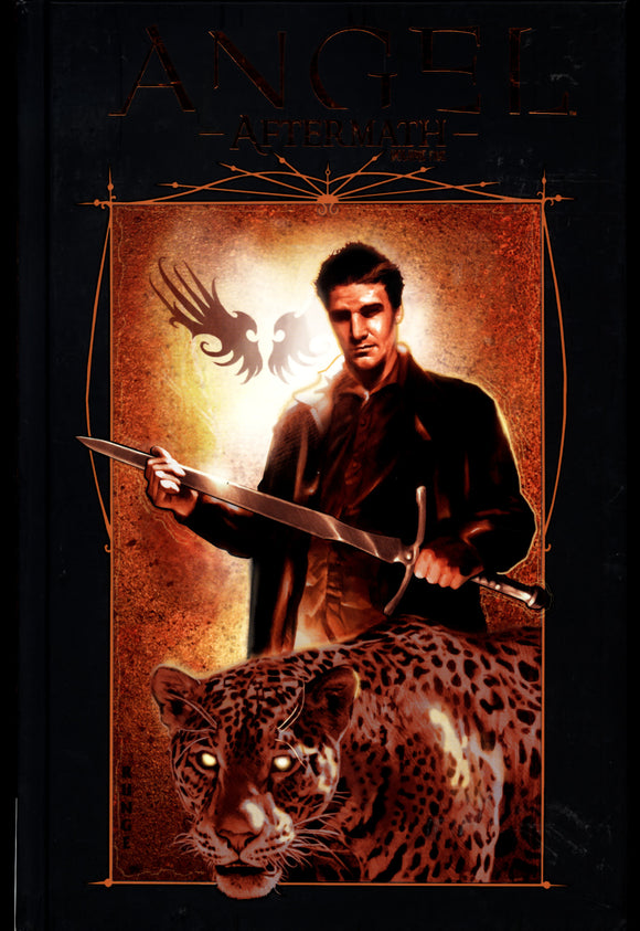 Angel Vol 5 Aftermath IDW 2009 First Printing Hard Cover