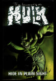 Incredible Hulk Vol 5 Hide In Plain Sight Marvel 2003 First Printing TPB