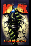 Incredible Hulk Vol 6 Split Decisions Marvel 2004 First Printing TPB