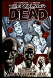 The Walking Dead Vol 1 Days Gone Bye Image 2010 Tenth Printing TPB