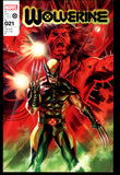 Wolverine #21 Marvel 2022 (NM) Felipe Massafera Cover