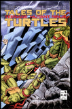Tales of the Teenage Mutant Ninja Turtles #5 Mirage 1987 (NM-)