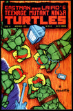 Teenage Mutant Ninja Turtles #41 VF/NM  Mirage 1991 1st PRINT