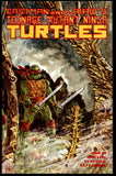Teenage Mutant Ninja Turtles #37 Mirage 1991 NM- 1st PRINT