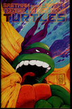 Teenage Mutant Ninja Turtles #22 FN/VF  (1989) 1st Printing