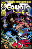 Coyote #12 HIGH GRADE 2nd Published Art Todd McFarlane!