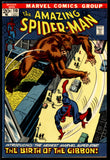 Amazing Spider-Man #110 Marvel 1972 (VF-) 1st App. of Gibbon