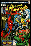 Amazing Spider-Man #124 Marvel 1973 (FN) 1st App. of Man-Wolf