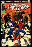 Amazing Spider-Man #202 Marvel 1979 (VF/NM) Punisher Appearance