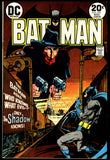 Batman #253 DC Comics 1973 (FN+) 1st Batman & Shadow Meeting