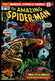 Amazing Spider-Man #132 Marvel 1974 (VF+) Mark Jewelers Insert!
