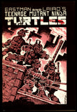 Teenage Mutant Ninja Turtles #1-4 Mirage 1984 #1 3rd Print / 2,3,4 1st Printing