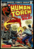 Human Torch #1-8 Marvel 1974 Complete Set - 8 Books