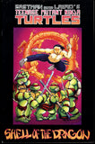 Teenage Mutant Ninja Turtles #18 Mirage 1990 (VF) 2nd Full Color Printing