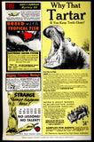 Animal Confidential One-Shot Dark Horse 1992 (VF+) Art Adams Sexy GGA