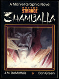 Doctor Strange: Into Shamballa Marvel Graphic Novel 1986 (VF-) DeMatteis
