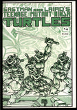 Teenage Mutant Ninja Turtles #1-4 1984 #1 3rd Print 2 2nd Print 3 & 4 1st Print