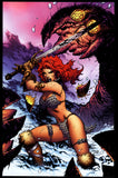 Red Sonja #12 Dynamite 2005 (NM+) 1:25 Jim Lee Virgin Variant Cover