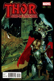 Thor God of Thunder #25 Marvel 2014 (NM+) R.M. Guera Variant