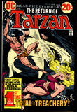 Tarzan #219 DC Comics 1973 (VF/NM) Joe Kubert Bondage Cover
