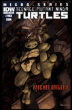 Teenage Mutant Ninja Turtles Micro Series #1-4 IDW 2011 Cover A Set