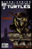 Teenage Mutant Ninja Turtles Micro Series #1-4 IDW 2011 Cover A Set