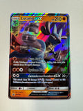 Pokemon TCG 2018 Lucario GX Full Art Black Star Promo SM100