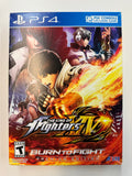 Burn to Fight Premium Editon 2016 Playstation PS4 Complete in Box!